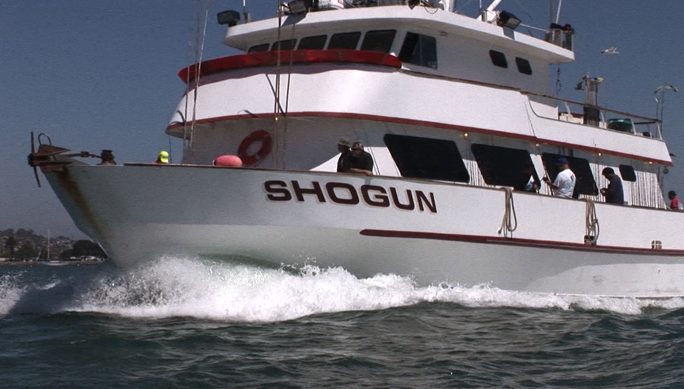 www.shogunsportfishing.com